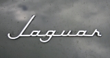 Jaguar Mk IX badge2